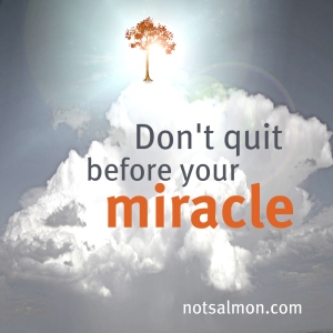 dontqquitmiracle