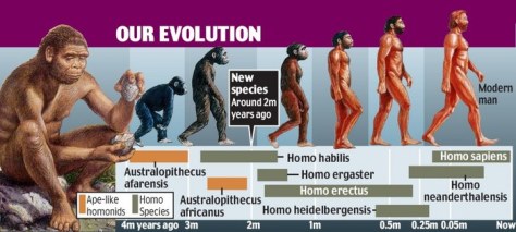 our-evolution-timeline-jpg