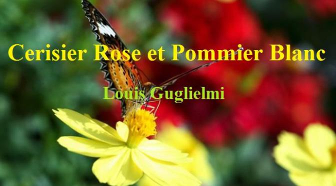 Tân Nhạc VN – Nhạc Ngoại Quốc Lời Việt – Thời kỳ Hiện Đại – “Cánh Bướm Vườn Xuân” (“Cerisier Rose et Pommier Blanc”) – Louis Guglielmi