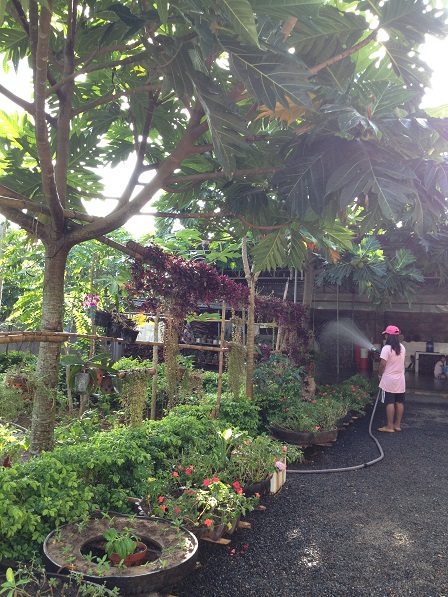 Em Razen đang tưới hoa, cây ăn trái và vườn rau nhà Lưu trú.